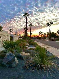 Strong Environments - Landscape & Design by Gene Dodak